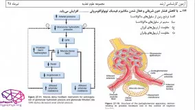 حل تشریحی فیزیولوژی -ارشد علوم تغذیه - سال98