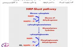 حل تشریحی خونشناسی ارشد علوم آزمایشگاهی2