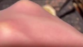 بادمجان کبابی با سویا سس به سبک بیگ تیستر