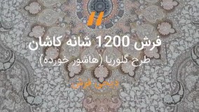 فرش کاشان طرح گلوریا هاشور خورده – ۱۲۰۰ شانه گل برجسته صدفی کد ۲۲۱۲۶۹
