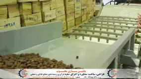 خط شست و شو و فرآوری خرما ( خرمای تازه)