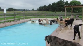 استخر پارتی