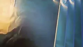 آموزش مرغ پنیری