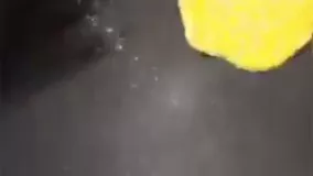 گلفر