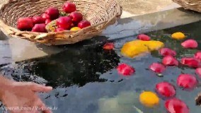 طرز تهیه کاستر میوه به سبک هندی ها با حجم زیاد