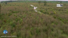 مستند خوردن حیوانات با دوبله فارسی