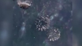 تصاویر میکروسکوپی از حضور ویروس کرونا روی ماسک‌