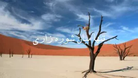 شوره زار دانیال منجزی