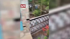 دیواری از جنس موبایل اپل