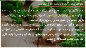 آموزش پرورش قارچ مورال با کمترین امکانات در خانه