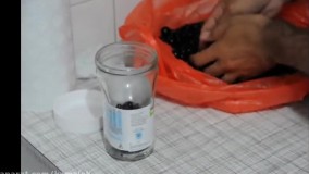 آموزش درست کردن ترشی آلبالو