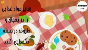 چگونه با مواد طبیعی، سوسک ها را از بین ببریم؟ | سم سوسک طبیعی