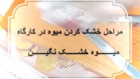 مراحل خشک کردن شلیل