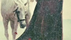 نوحه بسیار زیبا و قشنگ سلیم موذن (زینب زینب زینب)مخصوص وضعیت واتساپ