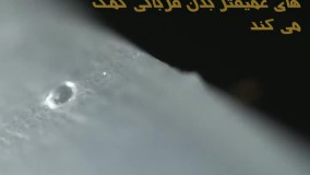 آیا زهر و نیش تمام عقرب ها کشنده است؟