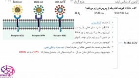 حل تشریحی کارشناسی ارشد مجموعه علوم آز3 درس ویروس شناسی
