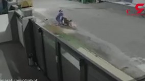 لحظه وحشتناک حمله سگ‌های ولگرد به زن جوان