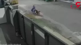 لحظه وحشتناک حمله سگ‌های ولگرد به زن جوان