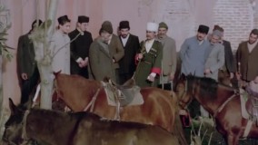 کوچک جنگلی 4