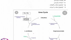حل تشریحی سوالات درس بیوشیمی کارشناسی ارشد فیزیولوژی سال98