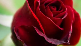 استاد غفاری ، کسانی که ترس دارید اگر توبه کنیم گذشته پاک نمیشود