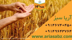 دفع قطعی علف هرز از مزرعه گندم  | هوروس | Horus
