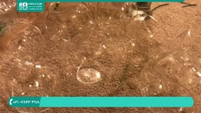 تزیین دکوراسیون مجالس عروسی به صورت شیک