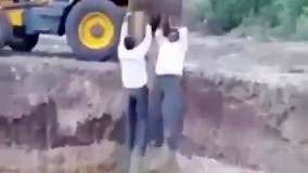 عاقبت تلخ بالا کشیدن کارگرها از گودال محل کار با بیل مکانیکی