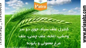 هاترا قوی ترین سم کشنده برای انواع علف هرز |  Hatra