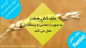 هملت، قویترین سم علف کش مزارع گندم زمستانه | Hamlet