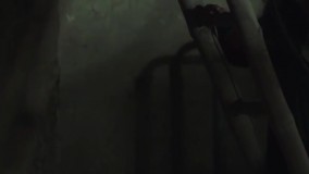 حوا ، مریم ، عایشه