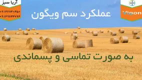 علف کش 100 درضد تضمینی برای مزارع گندم و جو | Vigon