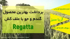 سم علف کش فوق العاده موثر گندم و جو | ریگاتتا | regatta