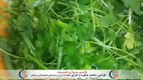 خط فراوری میوه سبزی و صیفی