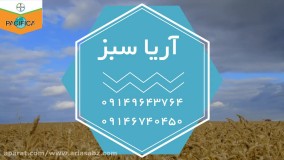 قویترین سم علف کش گندم زمستانه | Pacifica