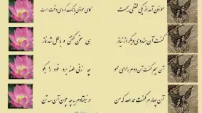 مثنوی معنوی مولانا - چار هندو در یکی مسجد شدند / بهر طاعت راکع و ساجد شدند