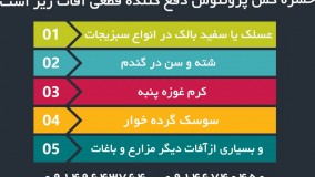 پروتئوس، حشره کش بی رقیب در مزارع و باغات | Proteus