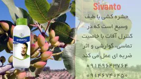 سیوانتو بهترین حشره کش برای انواع مزارع | Sivanto