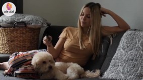 تو رئیس من نیستی !