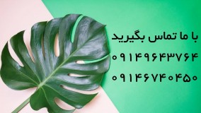 افوریا حشره کش کنترل کننده انواع آفات در مزارع |Eforia