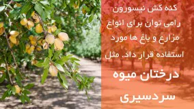 کنه کش خارجی Nissorun دفع قطعی کنه ها از باغ و مزارع