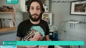 ایجاد محیطی سالم و متعادل در آکوارویوم برای ماهی زینتی