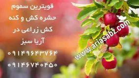 کنه کش نیسورون | دفع تضمینی انواع کنه در باغ و مزرعه