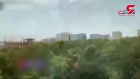 حمله ویرانگر ملخ‌ ها به پایتخت هند