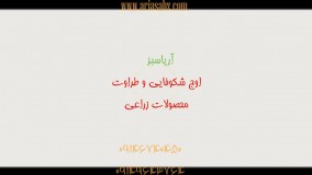 با قارچ کش دومارک | domark آفات جالیزی را از میدان بدر کنید