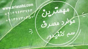 نابودی قطعی آفت پروانه میوز در مرکبات با حشره کش کنفیدور | Confidor