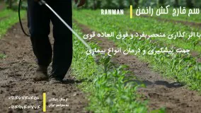 رانمن | Ranman تضمین 100% سلامت سیب زمینی