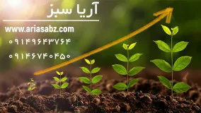 دفع تضمینی و 100 درصد آفات از مزارع با بیسکایا | Biscaya