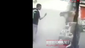 درس عبرت میمون برای عابر گستاخ