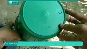 ایجاد فضایی مناسب برای پرورش گیاه پاپیروس در آپارتمان